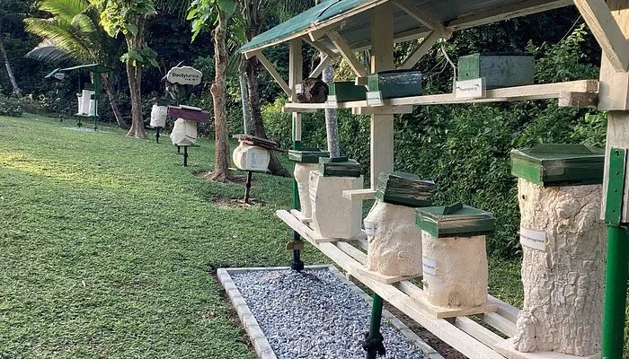 International Stingless Bee Centre