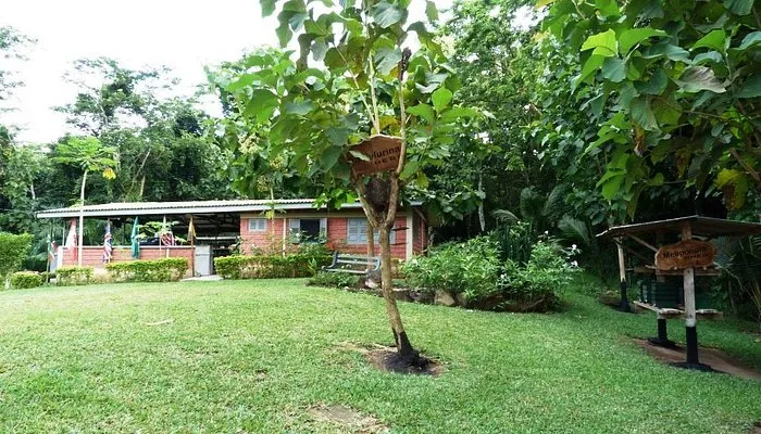 International Stingless Bee Centre